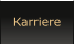 Karriere